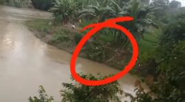 Titik lokasi penemuan jenazah di Kedung Ratu Pekon Jatiagung, Ambarawa, Pringsewu, Kamis 19 Februari 2026, sore | ist/Media Prioritastv.com.