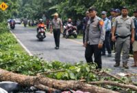 Ilustrasi ranting tumbang di Jalan Raya Pekon Tanjung Jati, Kecamatan Kota Agung Timur, Kabupaten Tanggamus, Jumat 27 Februari 2026, siang | Foto : Ilustrasi Media Prioritastv.com.
