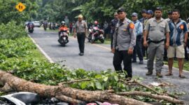 Ilustrasi ranting tumbang di Jalan Raya Pekon Tanjung Jati, Kecamatan Kota Agung Timur, Kabupaten Tanggamus, Jumat 27 Februari 2026, siang | Foto : Ilustrasi Media Prioritastv.com.