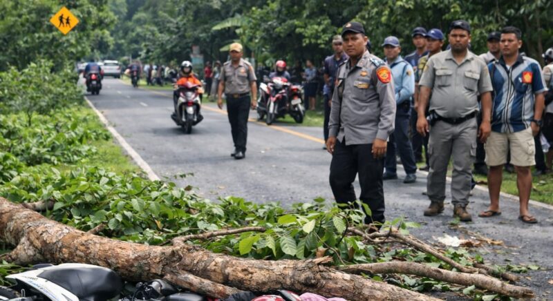 Ilustrasi ranting tumbang di Jalan Raya Pekon Tanjung Jati, Kecamatan Kota Agung Timur, Kabupaten Tanggamus, Jumat 27 Februari 2026, siang | Foto : Ilustrasi Media Prioritastv.com.