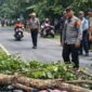 Ilustrasi ranting tumbang di Jalan Raya Pekon Tanjung Jati, Kecamatan Kota Agung Timur, Kabupaten Tanggamus, Jumat 27 Februari 2026, siang | Foto : Ilustrasi Media Prioritastv.com.