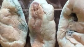 Roti MBG SPPG Talagening Tanggamus yang dilaporkan berjamur dan langsung diganti pengelola, Rabu 25 Februari 2026 | ist/Media Prioritastv.com.