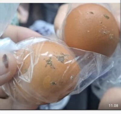 Telur kurang Higienis, masih terdapat kotoran hewan