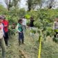 Polisi saat melakukan olah TKP pembunuhan di kebun Pekon Jagaraga, Sukau, Lampung Barat, Sabtu 28 Februari 2026.