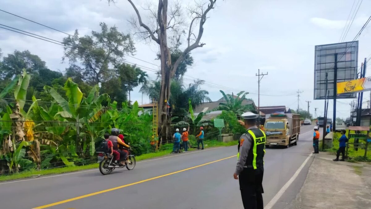 Pemotongan dahan kering di Jalan Lintas Barat Talang Padang oleh PLN bersama Sat Lantas Polres Tanggamus, Rabu 4 Maret 2026 | Asrul Ariski/Media Prioritastv.com.