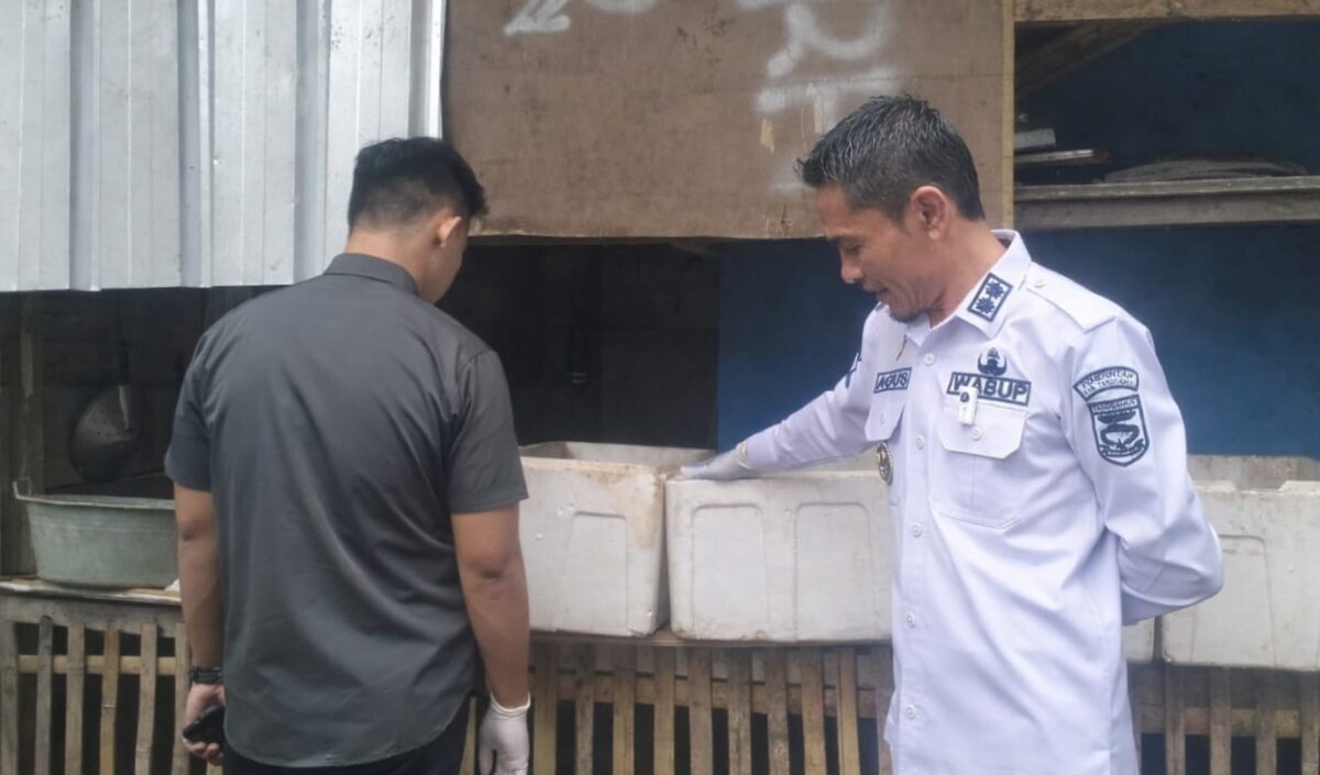 Wabup Tanggamus Agus Suranto saat meninjau peternakan maggot di Pekon Banyu Urip, Wonosobo, Rabu 4 Maret 2026 | Sumentri/Media Prioritastv.com.