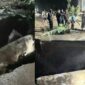 Kolase foto jembatan terputus sebelum dipasang jembatan sementara di Pekon Sirnagalih, Ulu Belu, Tanggamus, Minggu 8 Maret 2026, malam | ist/Media Prioritastv.com.