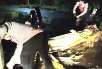 Polisi saat melakukan pembersihan material di jembatan Batu Kapal, Pekon Way Harong, Kecamatan Air Naningan, Tanggamus, Minggu 8 Maret 2026, malam | ist/Media Prioritastv.com.