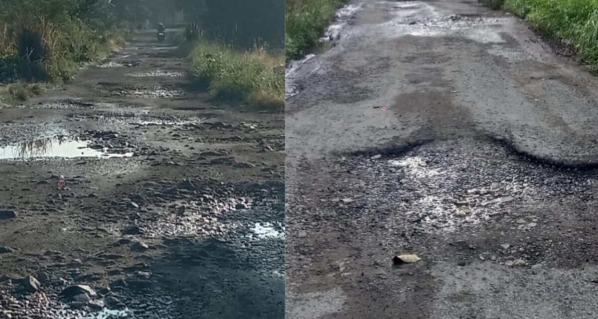 Kondisi Jalan Rusak Penghubung Lima Pekon Pugung Tanggamus.