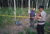 Polisi saat melakukan olah TKP usai menerima laporan  masyarakat, Jumat 13 Maret 2026 | Dok. Humas Polres Tulang Bawang.