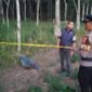 Polisi saat melakukan olah TKP usai menerima laporan  masyarakat, Jumat 13 Maret 2026 | Dok. Humas Polres Tulang Bawang.