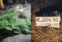 Kolase foto saat korba  tergelat ditutupi daun pisang dan plat sepeda motor yang dikabarkan kecelakaan di Dusun Sumbersari, Pekon Sumber Agung, Ngambur, Pesisir Barat, Sabtu 14 Maret 2026, malam | ist/Media Prioritastv.com.