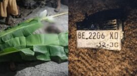 Kolase foto saat korba  tergelat ditutupi daun pisang dan plat sepeda motor yang dikabarkan kecelakaan di Dusun Sumbersari, Pekon Sumber Agung, Ngambur, Pesisir Barat, Sabtu 14 Maret 2026, malam | ist/Media Prioritastv.com.