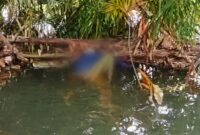 Kondisi jenazah pria berbaju biru dan celana cokelat terbujur kaku di sungai way marang, Pekon Bagun Negar, Pesisir Selatan, Pesisir Barat, Jumat 20 Maret 2026, sore | ist/Media Prioritastv.com.