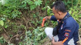 Polisi saat melakukan olah TKP peristiwa penusukan yang menewaskan pemuda Wonosobo, Tanggamus, Jumat 20 Maret 2026 | Dok. Humas Polres Tanggamus.