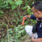 Polisi saat melakukan olah TKP peristiwa penusukan yang menewaskan pemuda Wonosobo, Tanggamus, Jumat 20 Maret 2026 | Dok. Humas Polres Tanggamus.