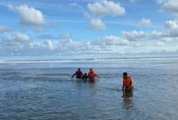 Ilustrasi Penyelamatan Warga Tenggelam | Foto : Ilustrasi.