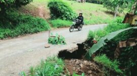 Penampakan jalan amblas di Pekon Pulau Panggung, Tanggamus menuju 6 Pekon di Kecamatan Pulau Panggung, Selasa 31 Maret 2026 | Mustar Aripin/Media Prioritastv.com.