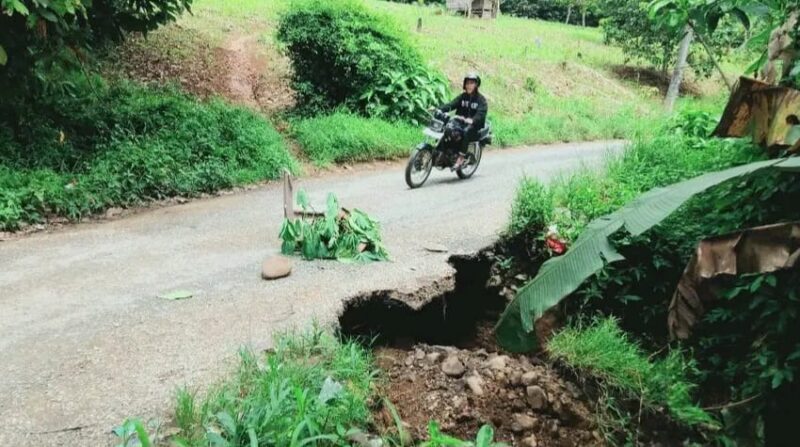 Penampakan jalan amblas di Pekon Pulau Panggung, Tanggamus menuju 6 Pekon di Kecamatan Pulau Panggung, Selasa 31 Maret 2026 | Mustar Aripin/Media Prioritastv.com.