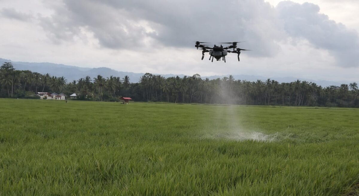 Drone pertanian PT Maxxi Agri Indonesia saat melayang bersamaan dengan penyemprotan pupuk dan pestisida di pesawahan di Pekon Dadirejo, Wonosobo, Tanggamus, Selasa 31 Maret 2026 | Sumentri/Media Prioritastv.com.