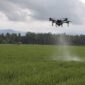 Drone pertanian PT Maxxi Agri Indonesia saat melayang bersamaan dengan penyemprotan pupuk dan pestisida di pesawahan di Pekon Dadirejo, Wonosobo, Tanggamus, Selasa 31 Maret 2026 | Sumentri/Media Prioritastv.com.