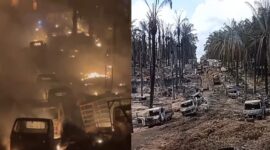 Kolase foto saat peristiwa kebakaran dan usai api padam di lokasi HGU PT Hidoli Desa Tanjung Dalam Kecamatan Keluang Kabupaten Banyuasin, Sumatera Selatan |
