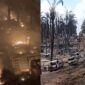 Kolase foto saat peristiwa kebakaran dan usai api padam di lokasi HGU PT Hidoli Desa Tanjung Dalam Kecamatan Keluang Kabupaten Banyuasin, Sumatera Selatan |