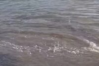 Detik-detik Pergerakan air laut yang terekam warga usai gempa yang diterjadi di Sidangoli Gam, Maluku Utara, Kamis 2 April 2026 | Dok. Warga.