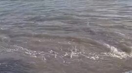 Detik-detik Pergerakan air laut yang terekam warga usai gempa yang diterjadi di Sidangoli Gam, Maluku Utara, Kamis 2 April 2026 | Dok. Warga.