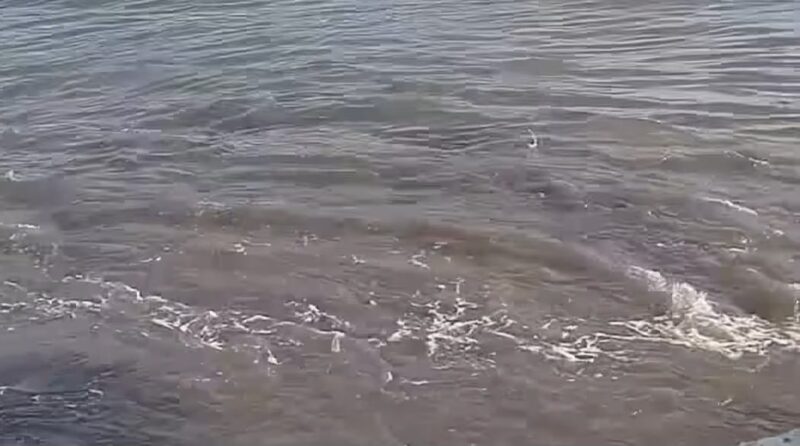 Detik-detik Pergerakan air laut yang terekam warga usai gempa yang diterjadi di Sidangoli Gam, Maluku Utara, Kamis 2 April 2026 | Dok. Warga.