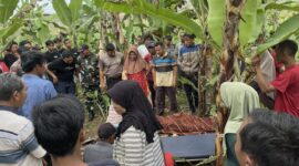 Polisi saat melakukan pemeriksaan TKP temuan mayat Lansia di Pekon Tekad, Pulau Panggung, Tanggamus, Selasa 31 Maret 2026 | Dok. Humas Polres Tanggamus.