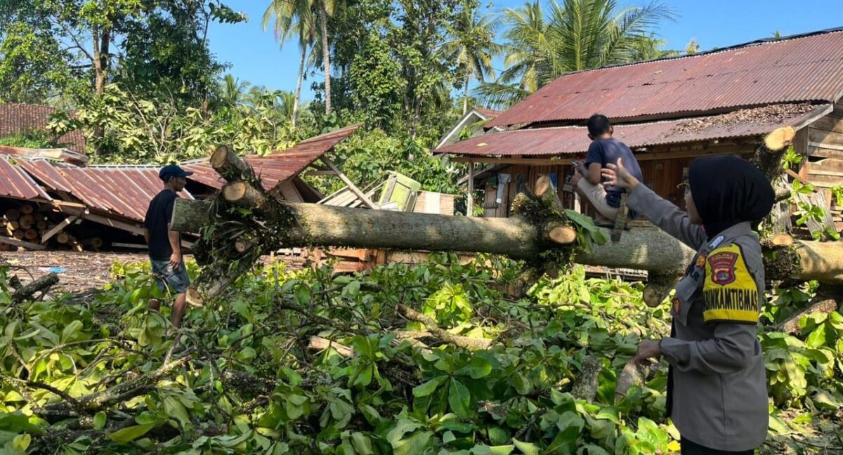Polisi saat melakukan pemeriksaan lokasi ambruknya bangunan panglong di Pekon Banyu Urip, Wonosobo, Tanggamus, Jumat 3 April 2026 | Dok. Humas Polres Tanggamus.