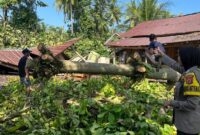 Polisi saat melakukan pemeriksaan lokasi ambruknya bangunan panglong di Pekon Banyu Urip, Wonosobo, Tanggamus, Jumat 3 April 2026 | Dok. Humas Polres Tanggamus.