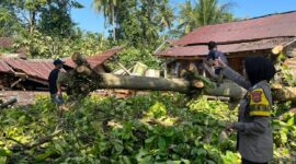 Polisi saat melakukan pemeriksaan lokasi ambruknya bangunan panglong di Pekon Banyu Urip, Wonosobo, Tanggamus, Jumat 3 April 2026 | Dok. Humas Polres Tanggamus.