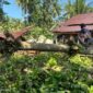 Polisi saat melakukan pemeriksaan lokasi ambruknya bangunan panglong di Pekon Banyu Urip, Wonosobo, Tanggamus, Jumat 3 April 2026 | Dok. Humas Polres Tanggamus.