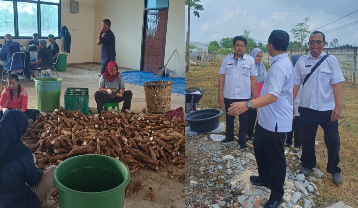 Kolase foto saat para pekerja IKM Mocaf di Pekon Tulung Agung Gading Rejo ketika melaksanakan pekerjaan dan saat Bupati Pringsewu Riyanto Pamungkas meninjau IKM setempat, Minggu 5 April 2026 | Samuel/Media Prioritastv.com.