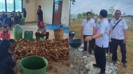 Kolase foto saat para pekerja IKM Mocaf di Pekon Tulung Agung Gading Rejo ketika melaksanakan pekerjaan dan saat Bupati Pringsewu Riyanto Pamungkas meninjau IKM setempat, Minggu 5 April 2026 | Samuel/Media Prioritastv.com.