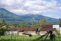Lokasi anak gunung Tanggamus yang disebutkan longsor dalam video yang beredar di media sosial, Senin 6 April 2026 | Dok. Tangkapan Layar Video.
