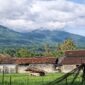 Lokasi anak gunung Tanggamus yang disebutkan longsor dalam video yang beredar di media sosial, Senin 6 April 2026 | Dok. Tangkapan Layar Video.