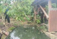 Polisi saat melakukan pemeriksaan TKP tenggelamnya balita di penampungan air kebun wilayah Ulu Belu, Tanggamus, Rabu 8 April 2026 | Dok. Humas Polres Tanggamus.