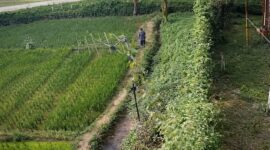 Foto rekaman CCTV yang menangkap Ngalimun saat melintasi pesawahan warga di Pekon Karang Rejo, Ulu Belu, Tanggamus, Senin 13 April 2026, pukul 14.12 WIB | ist/Media Prioritastv.com.