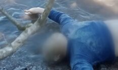 Breaking News: Mayat Pria Berbaju Biru Ditemukan Mengapung di Pantai Kota Agung Timur Tanggamus