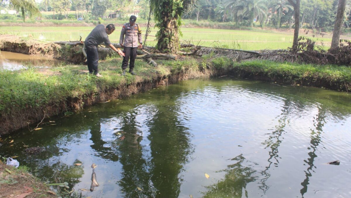 Polisi saat melakukan olah TKP tenggelamnya bocah 8 tahun di kolam ikan Pekon Purwodadi, Adiluwih, Tanggamus, Minggu 3 Mei 2026 | Dok. Humas Polres Pringsewu.