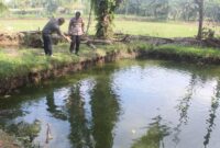 Polisi saat melakukan olah TKP tenggelamnya bocah 8 tahun di kolam ikan Pekon Purwodadi, Adiluwih, Tanggamus, Minggu 3 Mei 2026 | Dok. Humas Polres Pringsewu.