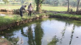 Polisi saat melakukan olah TKP tenggelamnya bocah 8 tahun di kolam ikan Pekon Purwodadi, Adiluwih, Tanggamus, Minggu 3 Mei 2026 | Dok. Humas Polres Pringsewu.