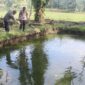 Polisi saat melakukan olah TKP tenggelamnya bocah 8 tahun di kolam ikan Pekon Purwodadi, Adiluwih, Tanggamus, Minggu 3 Mei 2026 | Dok. Humas Polres Pringsewu.
