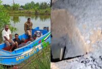 Viral di Media Sosial, Operator Ekskavator Asal Tanggamus Meninggal Dunia Saat Bekerja di Tulang Bawang