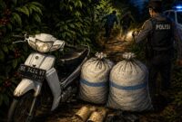 Ilustrasi jenis sepeda motor dan plat yang diamankan petugas Polsubsektor Ulu Belu Tanggamus bersama 2 karung kopi di Pekon Gunung Tiga saat dua terduga pencuri kabur, Minggu 17 Mei 2026, dinihari.