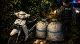 Ilustrasi jenis sepeda motor dan plat yang diamankan petugas Polsubsektor Ulu Belu Tanggamus bersama 2 karung kopi di Pekon Gunung Tiga saat dua terduga pencuri kabur, Minggu 17 Mei 2026, dinihari.