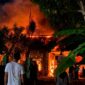 Api yang berkobar melalap kantor desa Sridadi, Wonosobo, Tanggamus, Rabu 20 Mei  2026, pagi | ist/Media Prioritastv.com.
